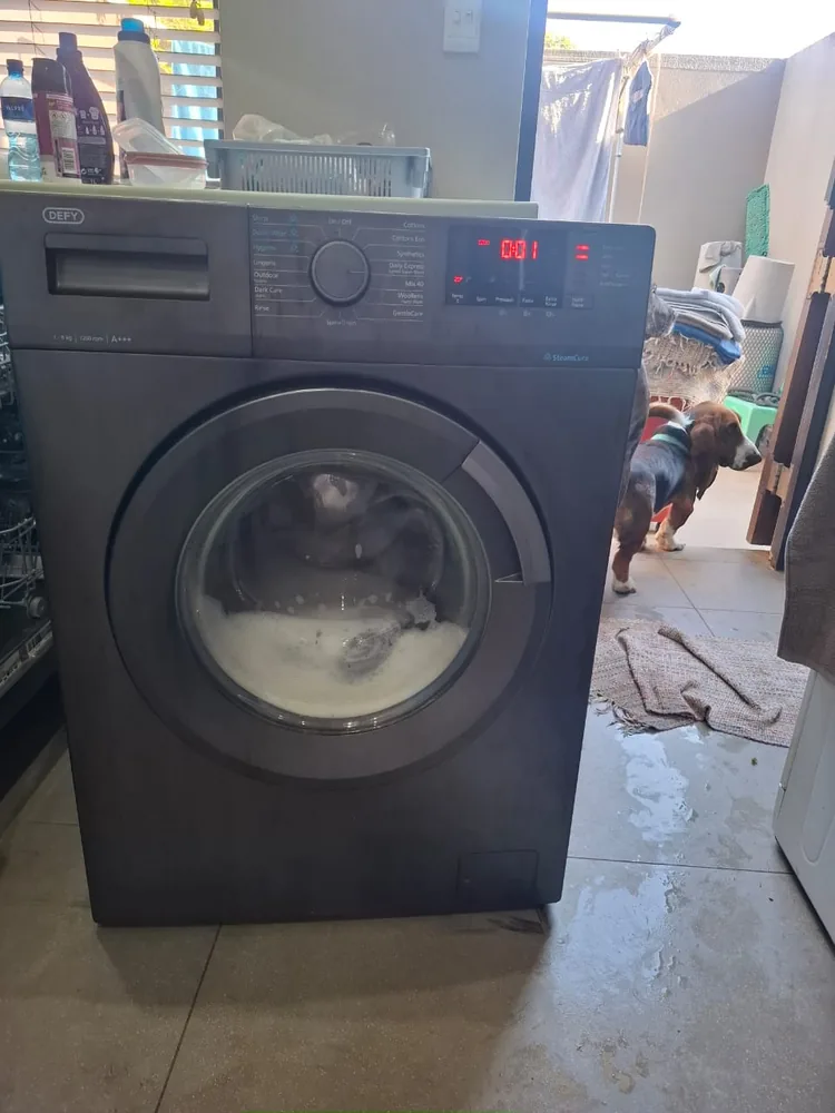 Technician providing dishwasher repair service in Durban North